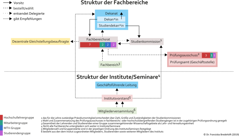 Diagramm der Struktur der Fachbereiche