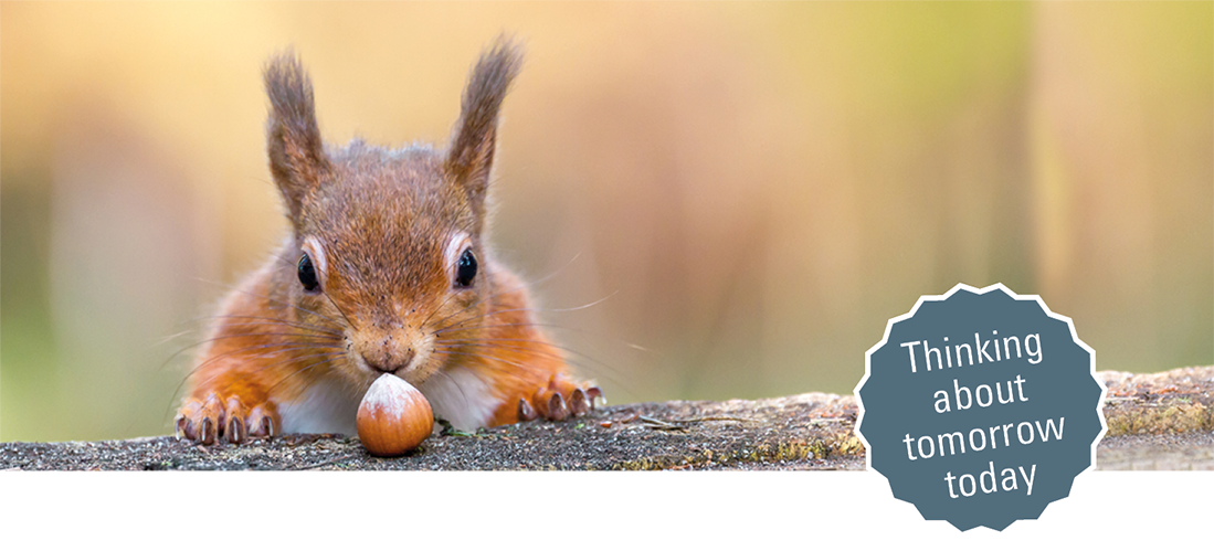 Picture of a Squirrel with a nut and the text 'thinking about tomorrow today'